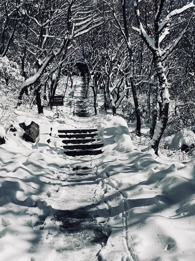 奔赴鄭州，只為一場「嵩山」之約