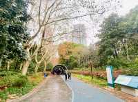 迎春本地遊｜市中心難得的大片綠地——人民公園
