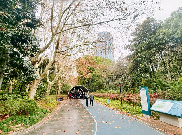 迎春本地遊｜市中心難得的大片綠地——人民公園