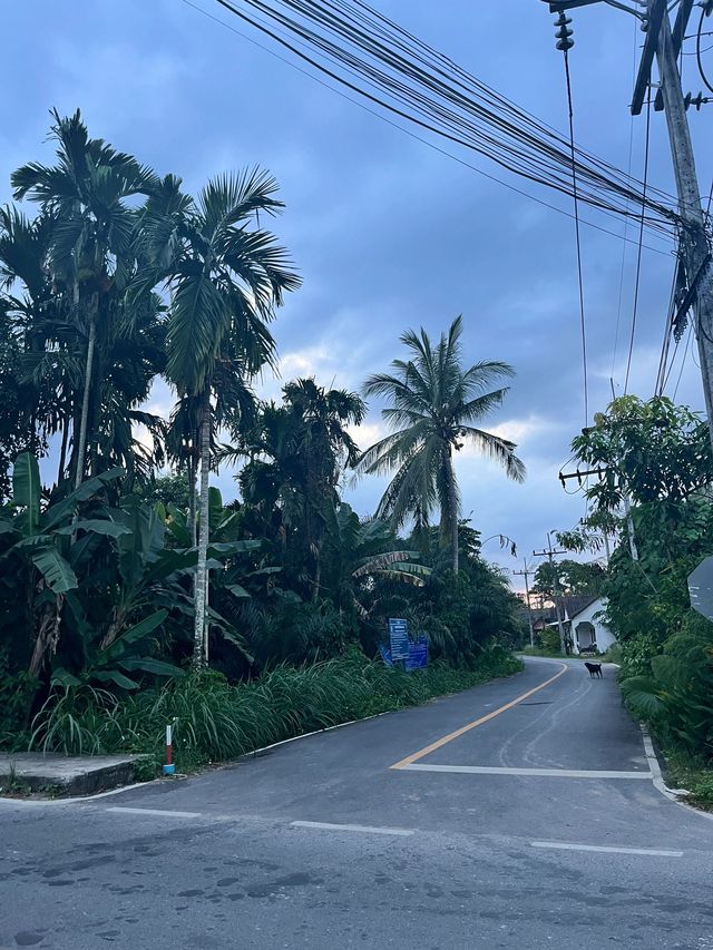 泰國免簽啦帶長者遊玩攻略