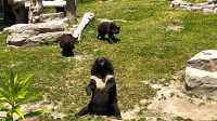 【南通森迪】住在動物園裏，來了就不想回家