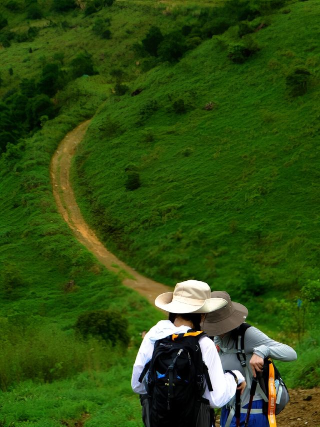 廣東6大「武功山」同款高山草甸