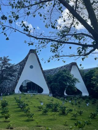 2-Day Tour of Buon Ma Thuot, Vietnam: Discover the Unique Charm of the Coffee Capital