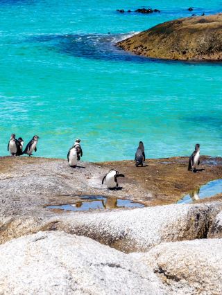 12-Day South Africa Winter Vacation Travel Guide
