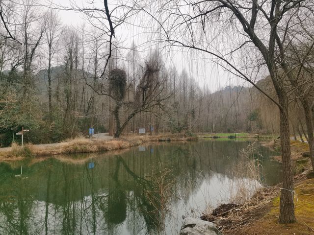千年風采盡在南陵縣博物館