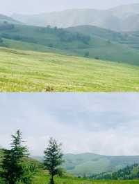 不是新疆這裡是呼和浩特敕勒川高山草原