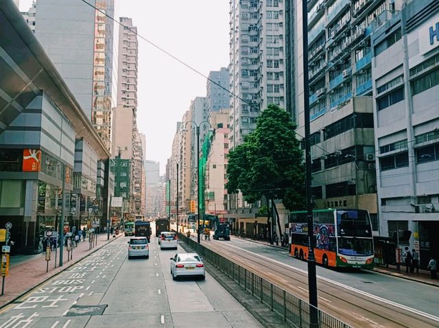 Hong Kong Bustling World: Complete Guide for Wonderlust Visitors