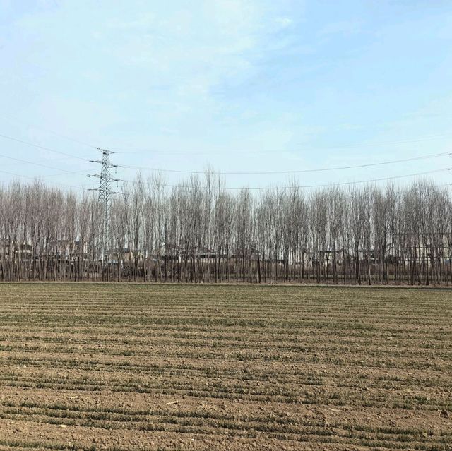 我的老家，春天里的麦田