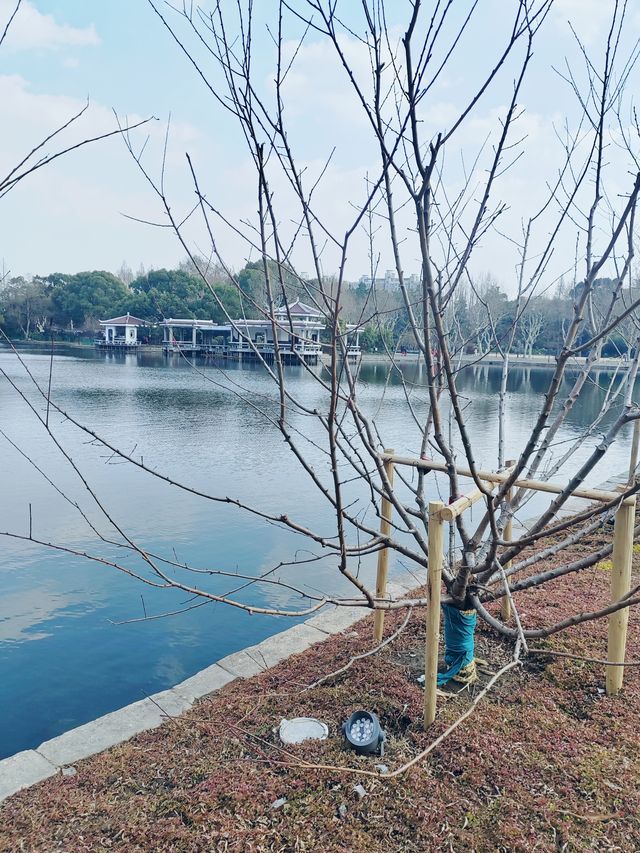 上海的小西湖—楊浦公園探尋
