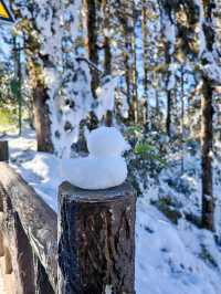 距離成都3小時的冰雪樂園，瓦屋山旅行攻略！