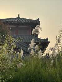永城劉邦斬蛇處，探尋大漢起源的傳奇之地