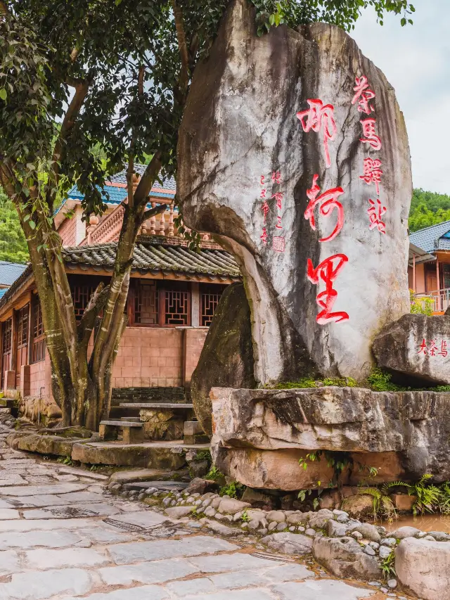 푸얼 숲 탐험 여행, 어르신들을 위한 자연의 선택