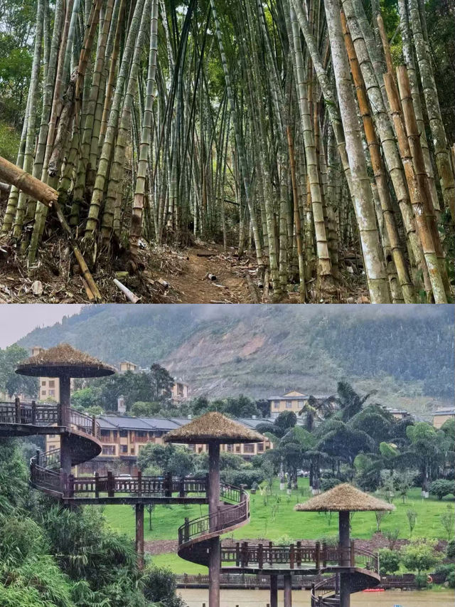 屏邊已回，說點難聽大實話。