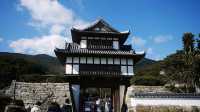 日本對馬島的特別旅程