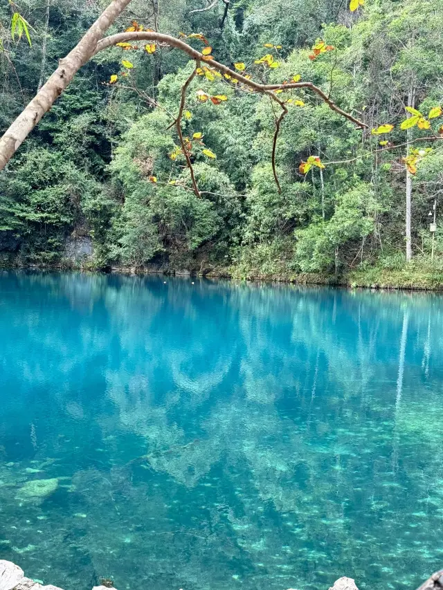 Guizhou Huangguoshu-Libo Must-Try Itinerary & Hidden Gems Revealed