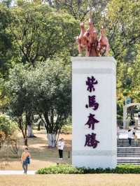 自然與繁華之間的悠然漫步