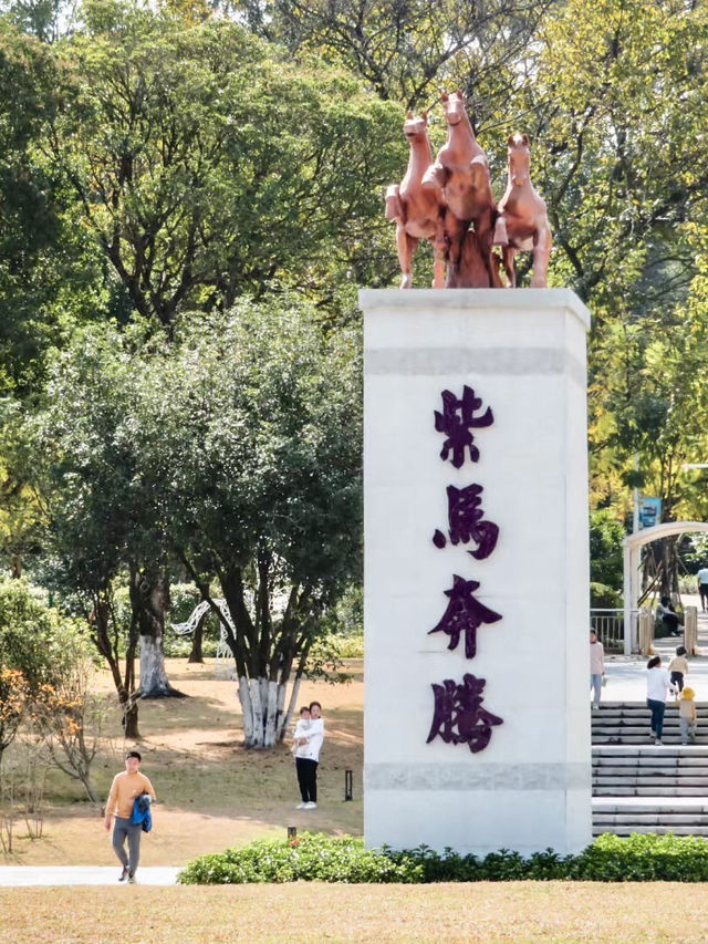 自然與繁華之間的悠然漫步