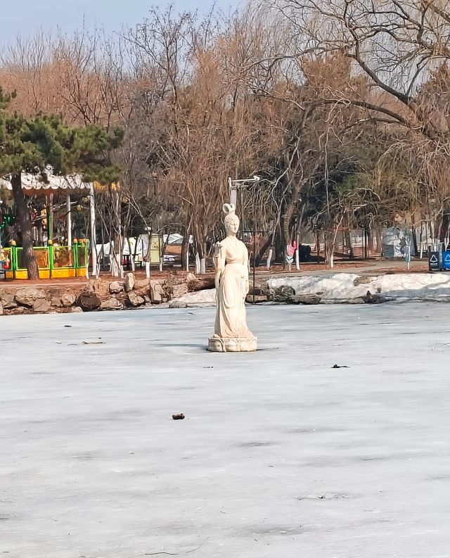 想你的風吹到了北陵公園