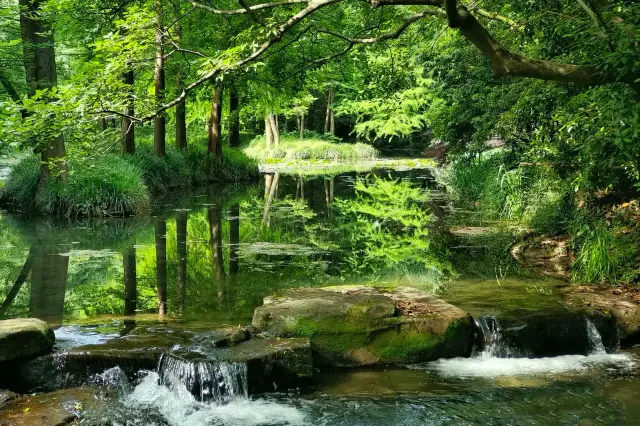 Hidden Gems for Pro-Level Shots! 5 Cinematic Spots Around West Lake for Stunning Mobile Photography