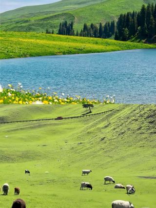 Have you ever been to the breathtaking Tianchi Lake?