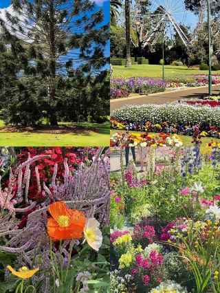 Discover Toowoomba: A Magical Journey Through Australia's Garden City
