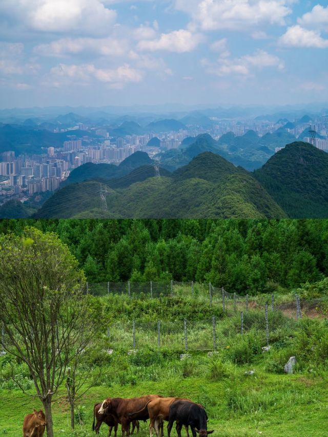 探索貴州六盤水梅花山，美不勝收！