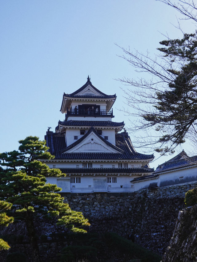 四國高知｜歡迎來到日本國寶之一的高知城