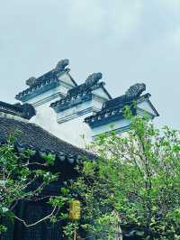 中山旅遊必備攻略（超齊全）