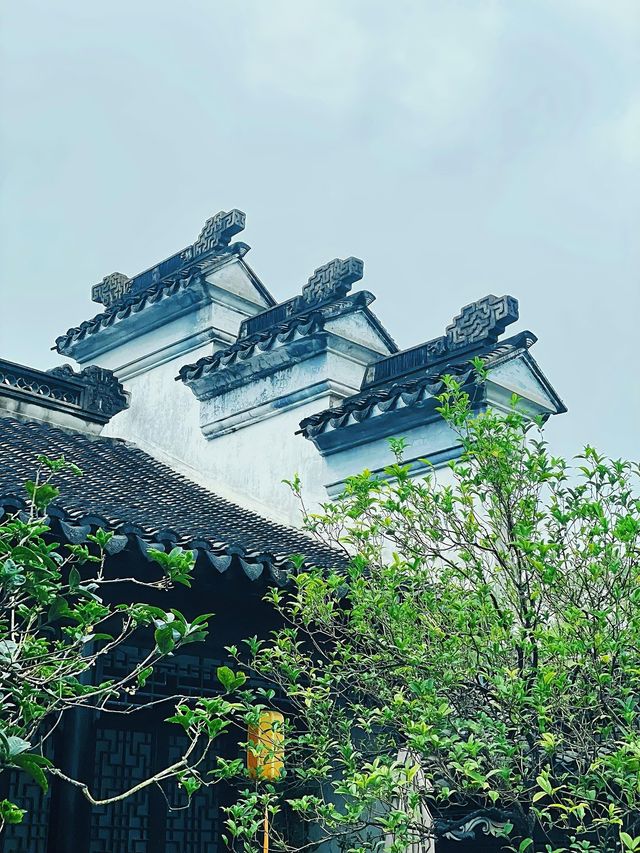 中山旅遊必備攻略（超齊全）