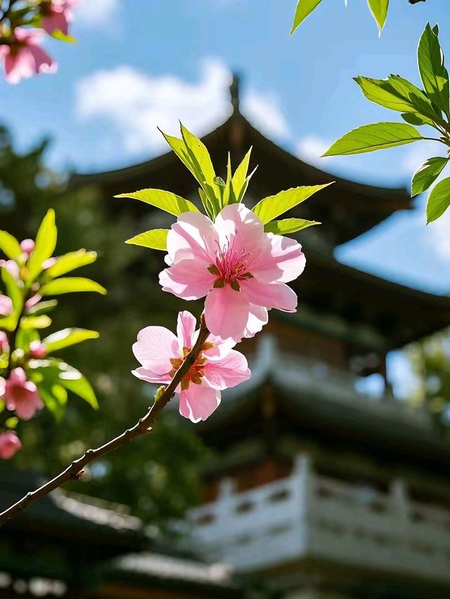 4日玩遍桂林 超詳細攻略來啦