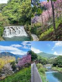 桃園尋夢｜解鎖台灣桃園的獨特之旅