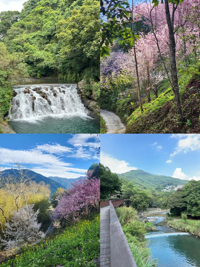桃園尋夢｜解鎖台灣桃園的獨特之旅