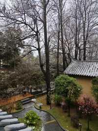 春之雪-專屬春天的浪漫