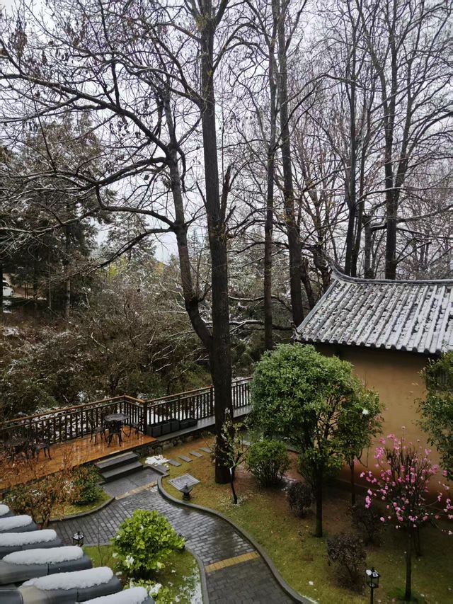 春之雪-專屬春天的浪漫