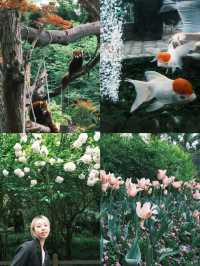 春天就應該去動物園逛逛！上海動物園已經更上一層樓喇