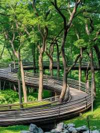 西湖唔止得斷橋同靈隱寺！仲有呢啲小眾秘境