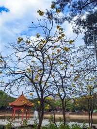 百花盛開嘅踏春之旅 喺蓮花山浪漫暢遊