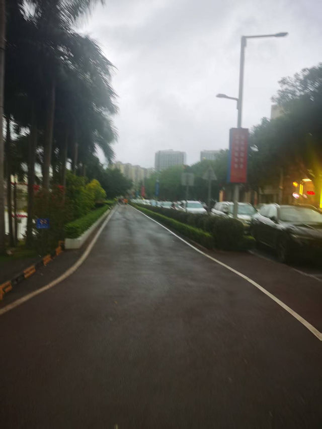🌧️午後東湖散步記｜風雨中的意外片刻