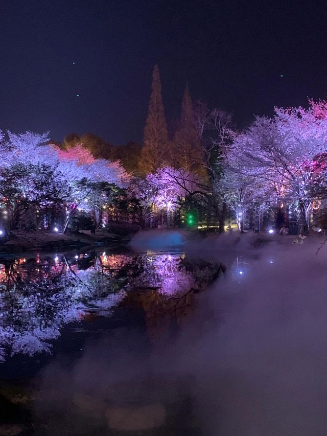 黿頭渚已回，聽我一句勸