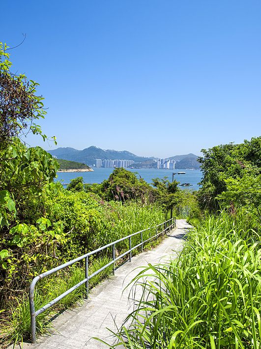 Deep Dive into Hong Kong’s Outlying Islands: Lantau, Lamma, Cheung Chau 🌴