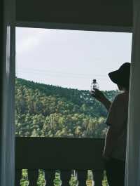 森林氧吧，佛山高明皂幕山治癒了我的精神內耗