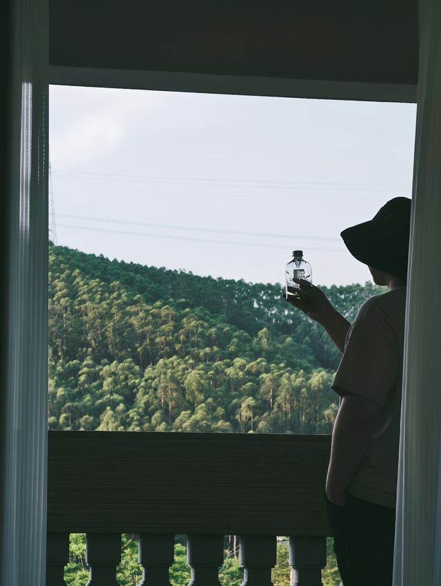 森林氧吧，佛山高明皂幕山治癒了我的精神內耗