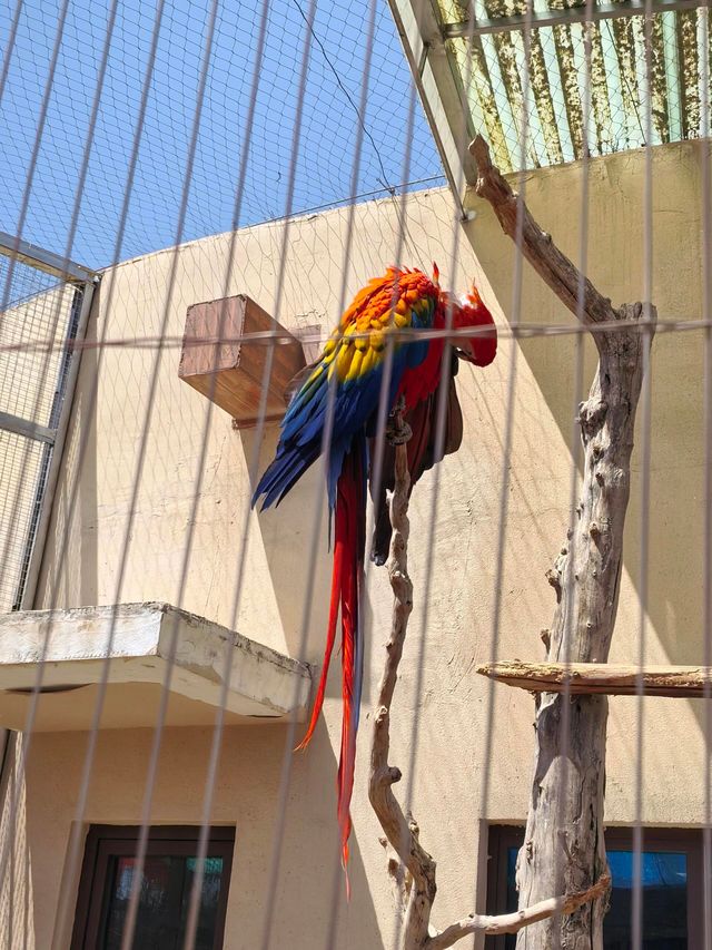 蘭州野生動物園攻略！看萌獸逛海洋，親子遊必打卡