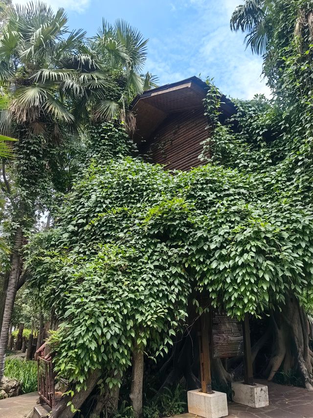 【昆明 | 在雲南民族村，做一日白族姑娘】