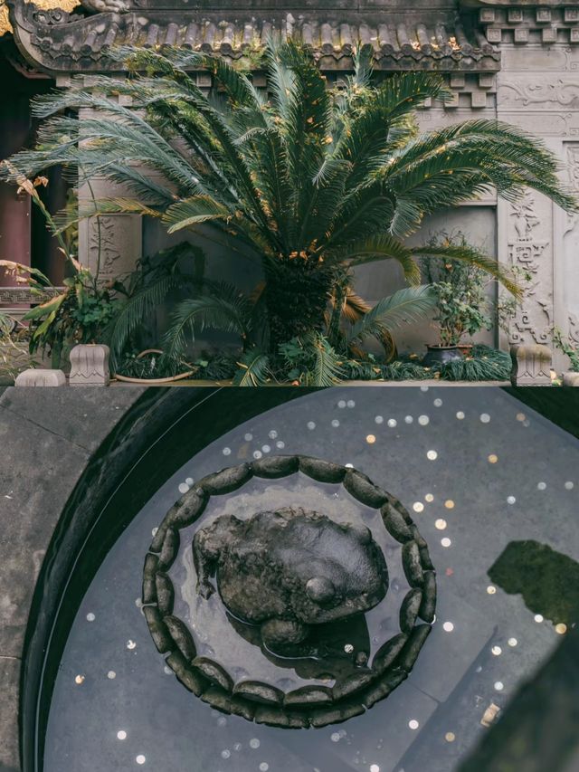 來重慶旅遊？本地人帶你玩轉這些地方！