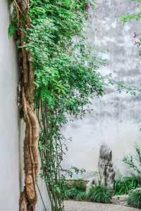 四月藝圃春色美