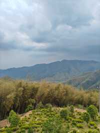 莫干山隱藏玩法人少到離譜附路線
