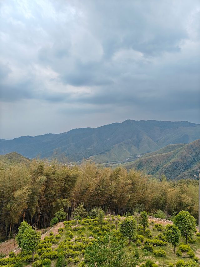 莫干山隱藏玩法人少到離譜附路線
