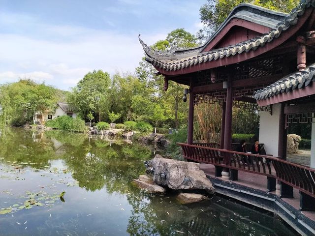 打卡古風園林，感受傳統韻味！