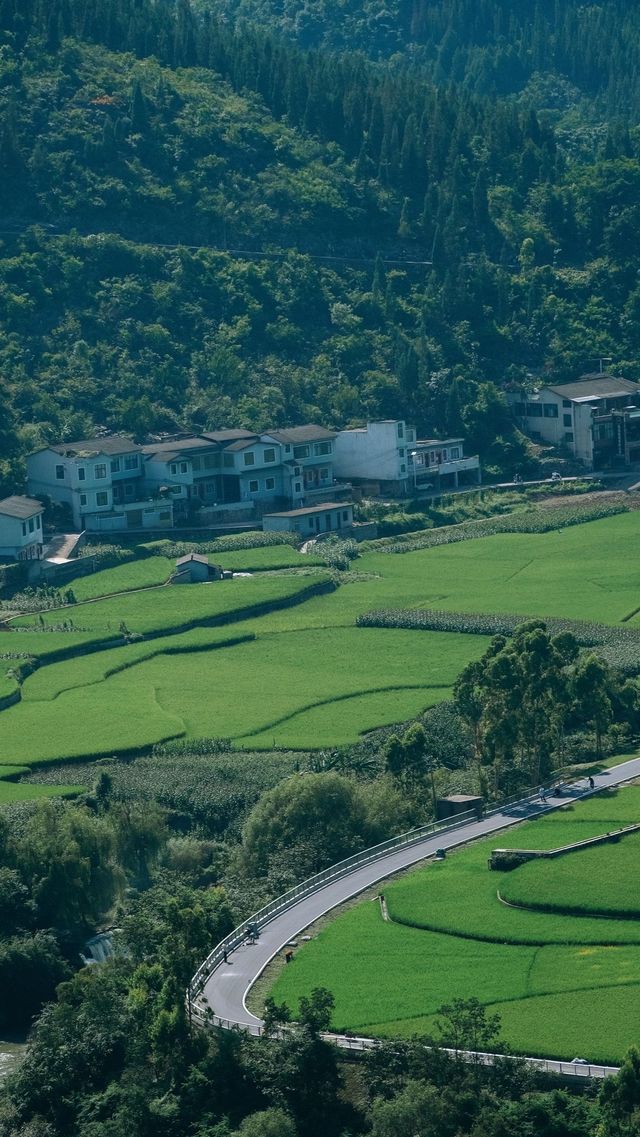 峰林為幕·稻浪為席——萬峰林田園生活真的很美